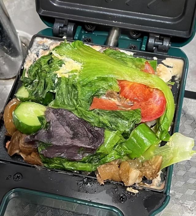 早餐机 好用吗_小家电闲置率_酸奶机早餐机使用率低