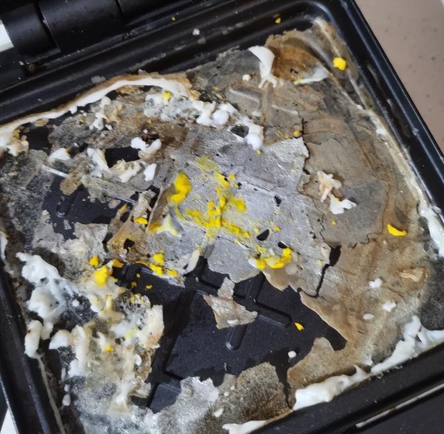 酸奶机早餐机使用率低_小家电闲置率_早餐机 好用吗