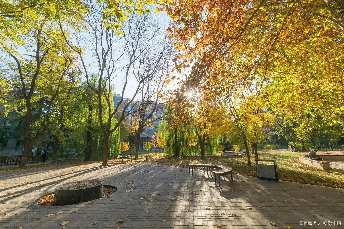 北航2024届毕业生升学就业数据_北京航空航天大学学生_北京航空航天大学2024届本科毕业生就业情况