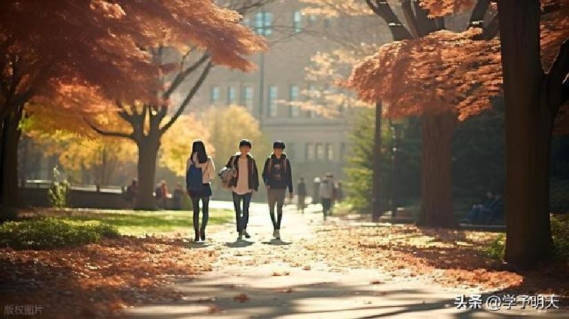 中国人民大学讲师_中国人民大学实习机会_中国人民大学优势专业