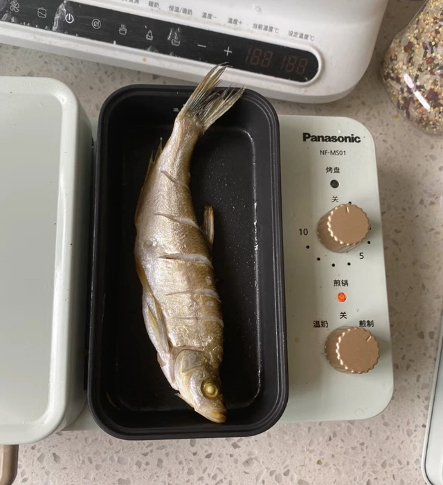 早餐机_早餐机 万物皆可压 新物种