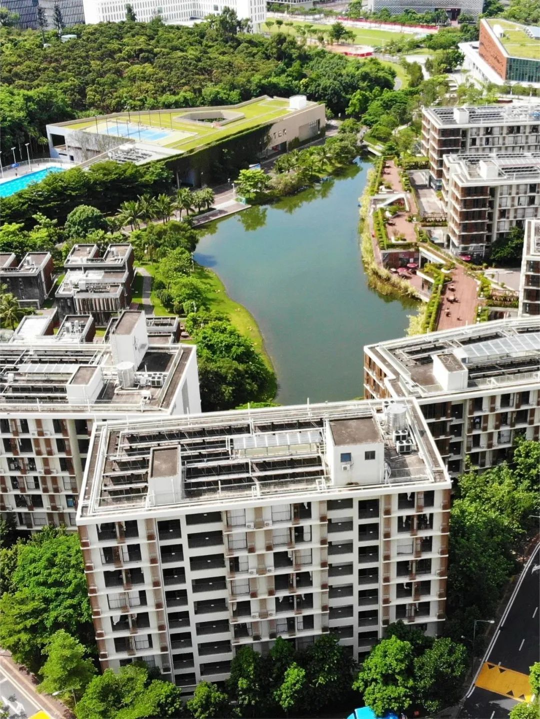 深圳北理莫斯科大学_深圳大学校园预约指南_深圳高校周末开放参观