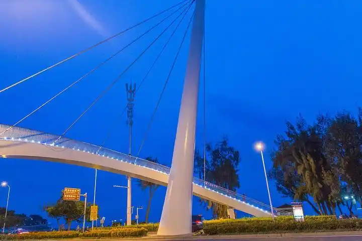 厦门大学毕业生就业率_厦门大学毕业_厦门大学学科评估