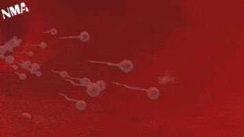 男性节育技术_男性避孕药_避孕贴怎么用