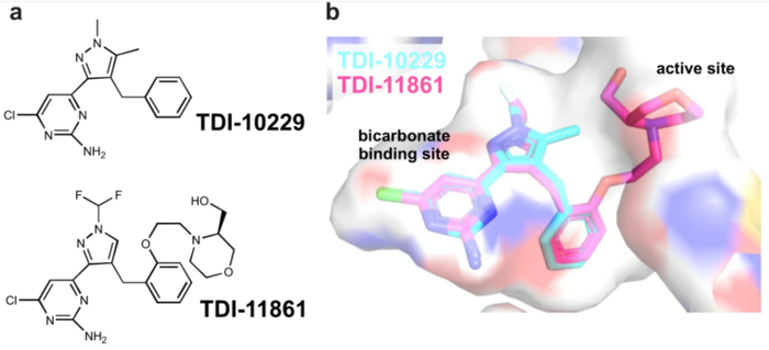 避孕贴怎么用_男性避孕药_男性节育技术