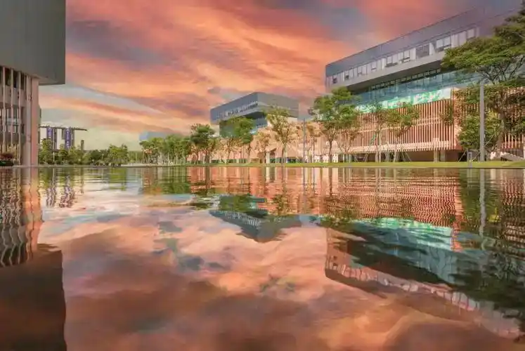 香港中文大学（深圳）排名_港中文深圳_港中大（深圳）学科实力