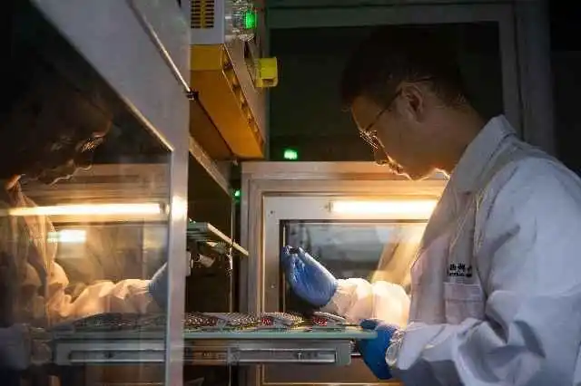 比较文学博导排名_年轻学者破格晋升博导_35岁以下最年轻博导