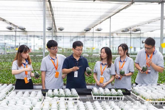 新闻传播学考研专业_2025年考研容易考的专业_生物工程专业考研优势