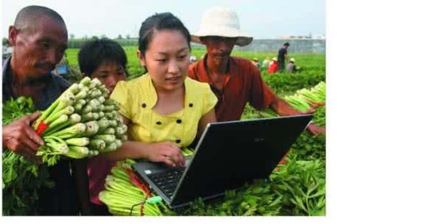 西北农林科技大学与华中农业大学对比_农业大学专业选择_西北农林科技大学