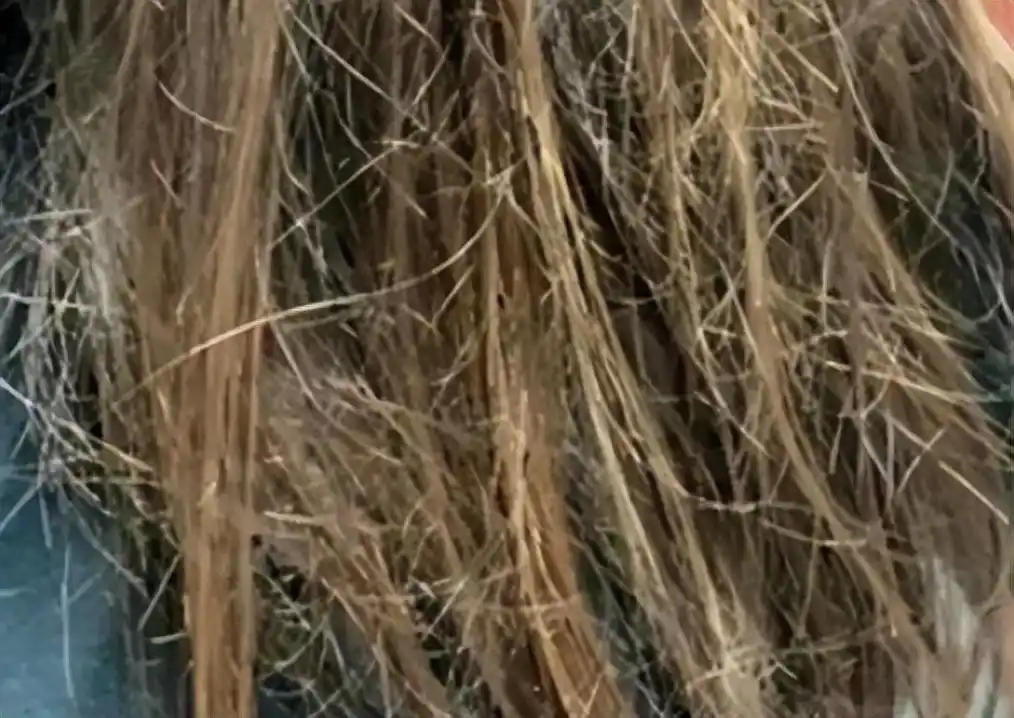 哪个牌子的卷发棒好_卷发棒选购技巧_卷发棒哪个牌子好用