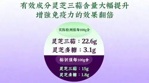 芝康纪破壁灵芝孢子粉_灵芝孢子破壁机_灵芝破壁孢子粉哪个牌子好