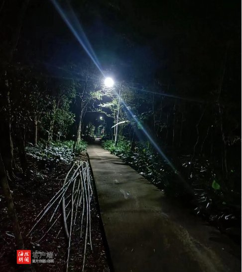 农村路灯安装_大路灯安装_乡村振兴路灯工程