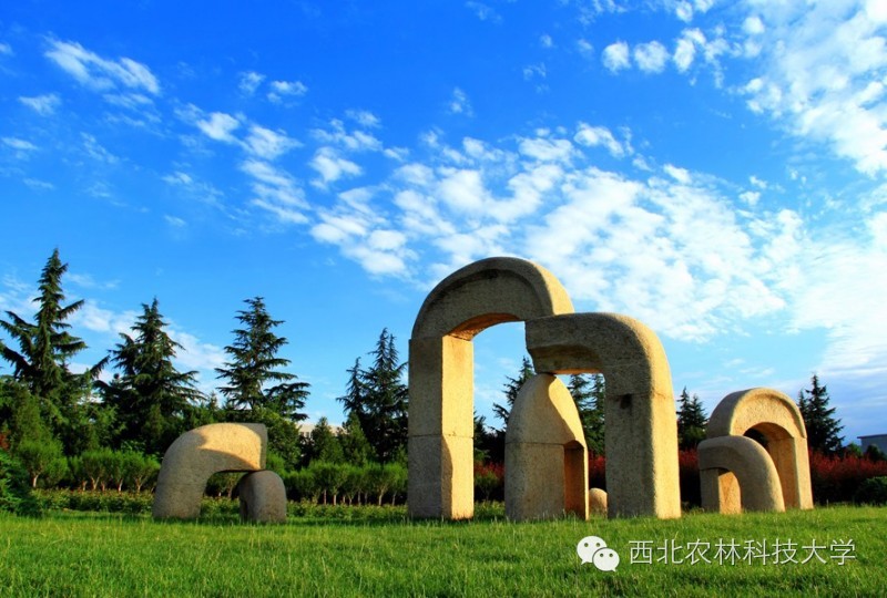 西北农林科技大学_西北农林科技大学报考指南_西农专业特色介绍