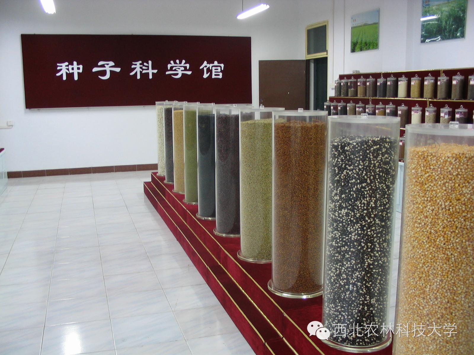 西北农林科技大学_西农专业特色介绍_西北农林科技大学报考指南