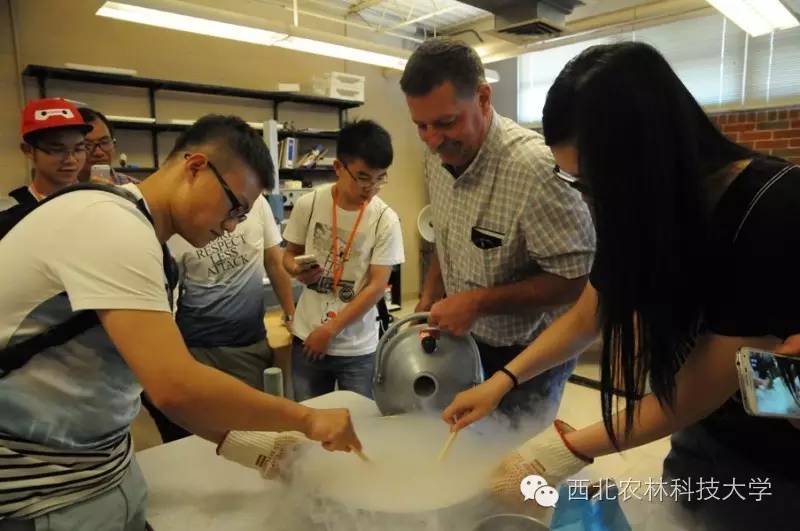 西农专业特色介绍_西北农林科技大学报考指南_西北农林科技大学