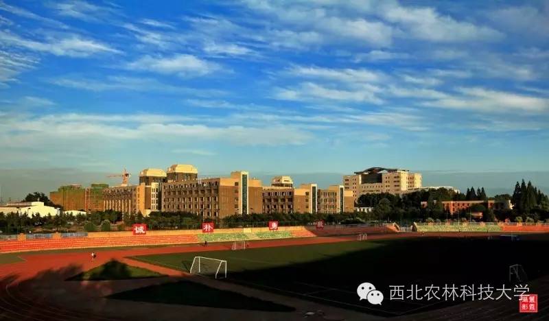 西农专业特色介绍_西北农林科技大学_西北农林科技大学报考指南