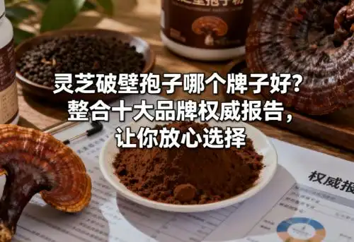 灵芝孢子破壁机_芝康纪破壁灵芝孢子粉选购指南_灵芝破壁孢子粉十大品牌排名
