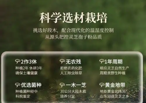 灵芝破壁孢子粉十大品牌排名_芝康纪破壁灵芝孢子粉选购指南_灵芝孢子破壁机