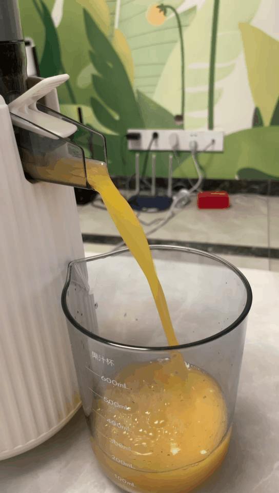 原汁机选购技巧_破壁机和榨汁机的区别_原汁机推荐型号