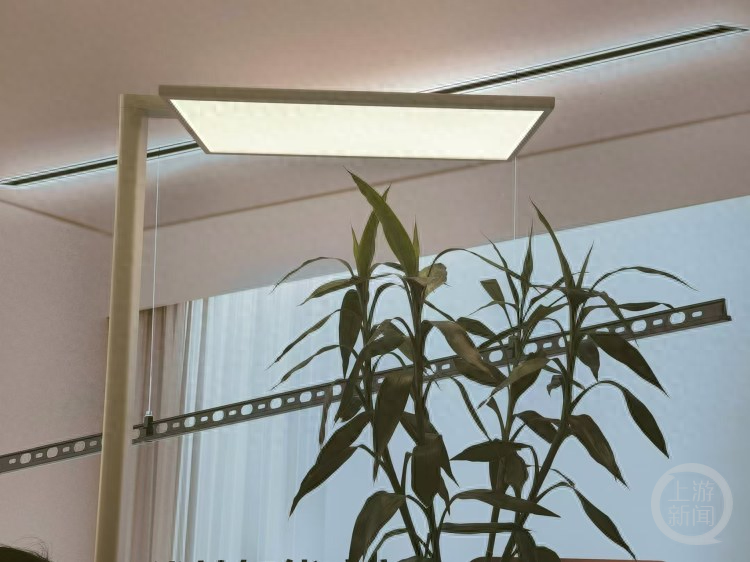 什么是大路灯_大路灯真的护眼吗_大路灯评测