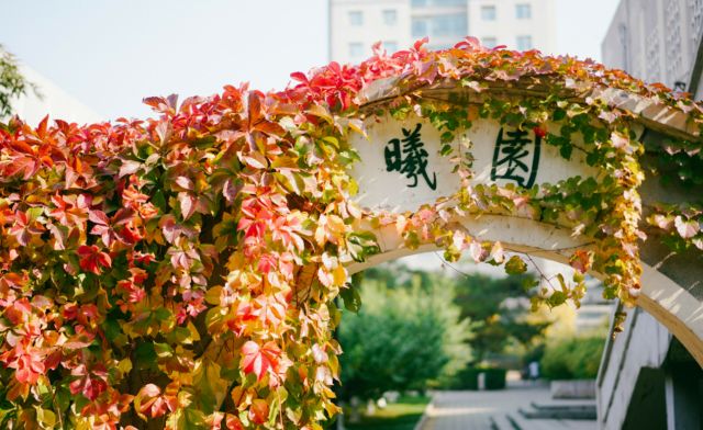 北京师范大学毕业生就业前景_北京师范大学毕业_北京师范大学就业去向分析