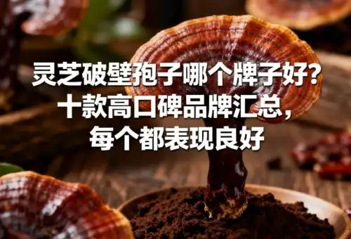 灵芝破壁孢子粉哪个牌子好_灵芝孢子破壁机_十款高口碑品牌汇总