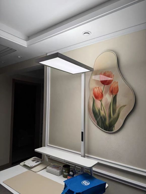 大路灯护眼效果_劣质大路灯危害_大路灯评测