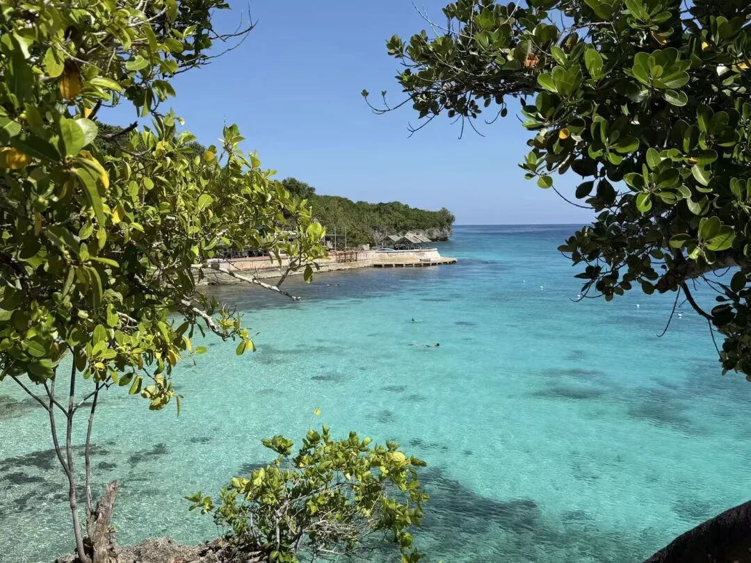 华侨生联考与国内高考差异_华侨生联考_联考录取分数线对比