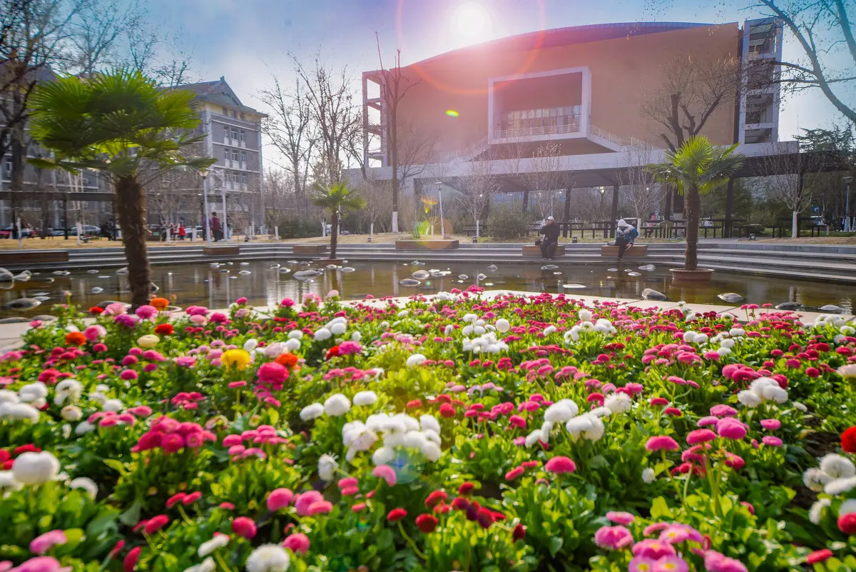 北京外国语大学就业情况分析_北京外国语大学毕业_北京外国语大学就业率最高的专业