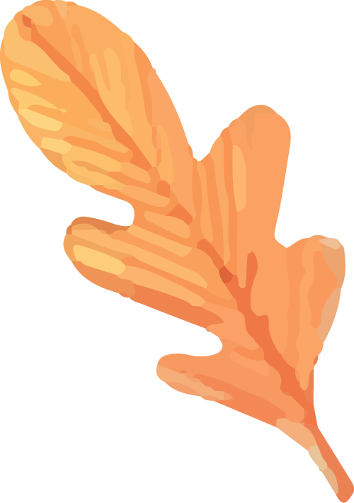 华侨生联考_港澳台华侨生联考考试科目_港澳台华侨生联考报考条件