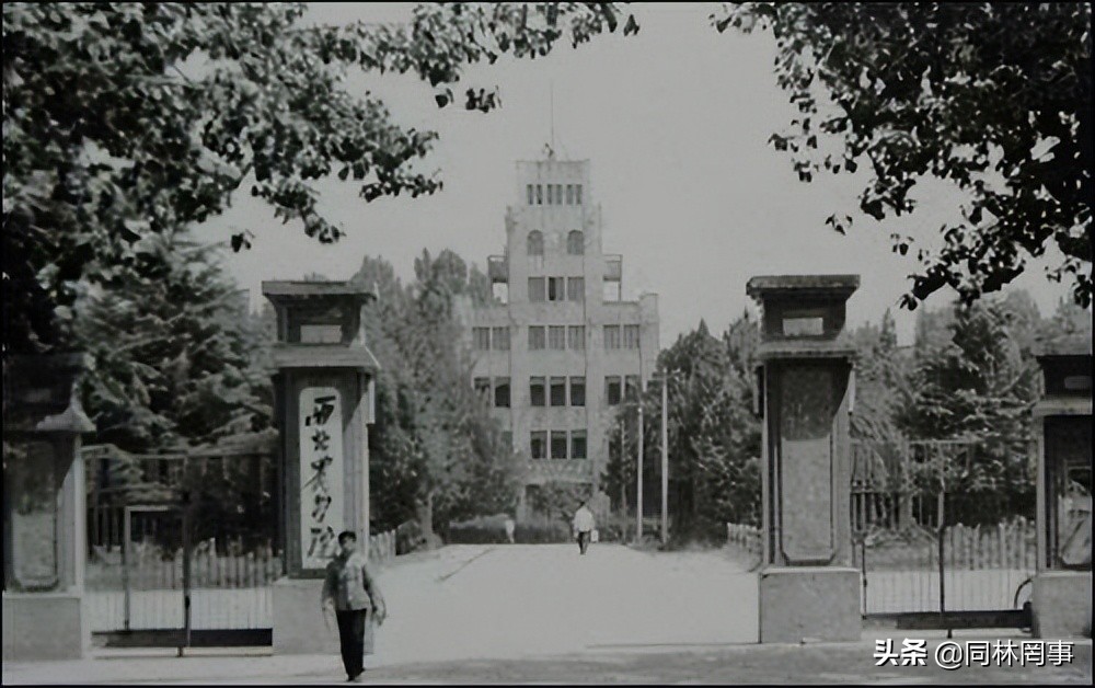 西北农林科技大学_西北农林科技大学学科评估_西北农林科技大学985大学