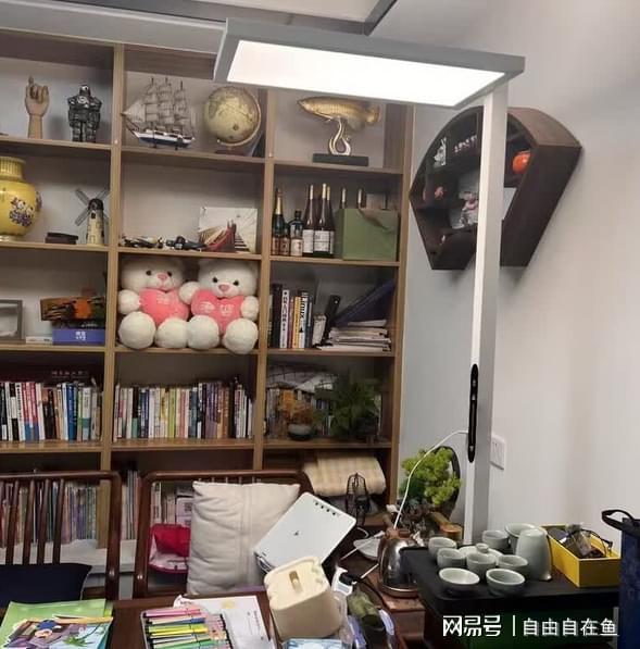 大路灯使用_护眼大路灯品牌测评_大路灯品牌推荐