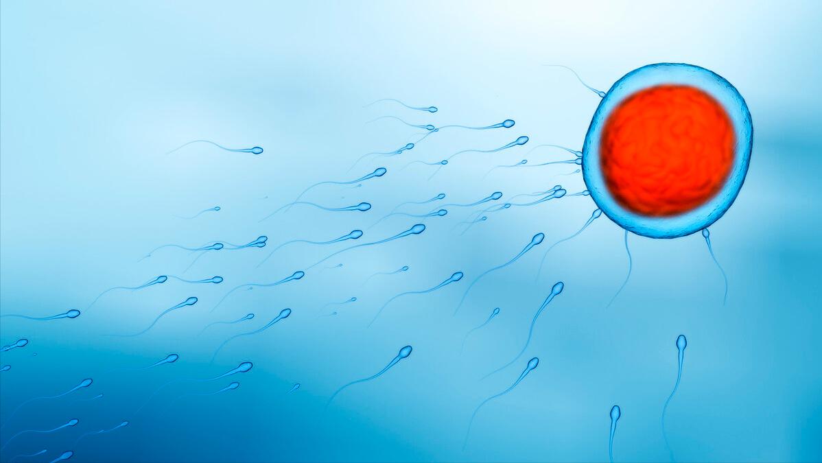 避孕贴怎么用_体外射精失败率_避孕方法选择