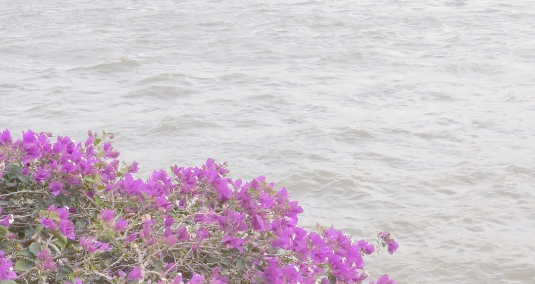 新闻前景就业传播学好就业吗_新闻与传播学就业前景_新闻传播学未来就业