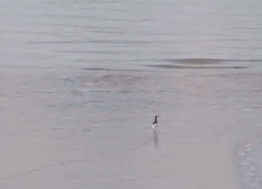 新闻与传播学就业前景_新闻传播学未来就业_新闻前景就业传播学好就业吗