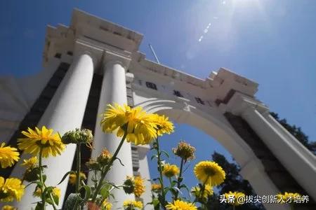 清华北大综合评价考试模式_清华大学古代文学考博真题_清华北大自主招生真题