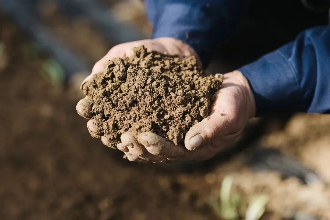 <a href="https://huanjingfa.cn">环境法</a>与可持续发展_环保与可持续发展实践_可持续发展与地球环境保护