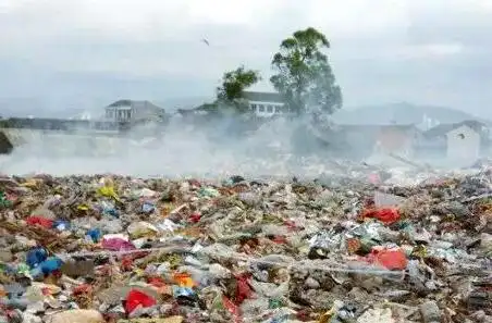 环境问题与可持续发展_环境污染与防治措施_<a href="https://huanjingfa.cn">环境法</a>与可持续发展