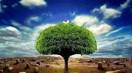 环境污染与防治措施_<a href="https://huanjingfa.cn">环境法</a>与可持续发展_环境问题与可持续发展