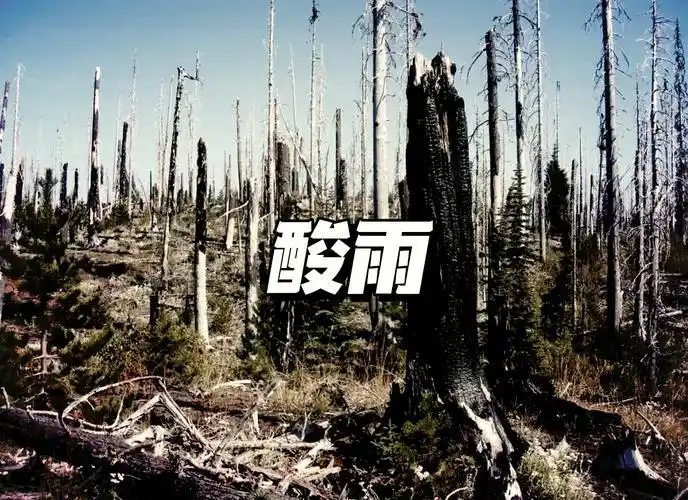 <a href="https://huanjingfa.cn">环境法</a>与可持续发展_环境问题与可持续发展_环境污染与防治措施