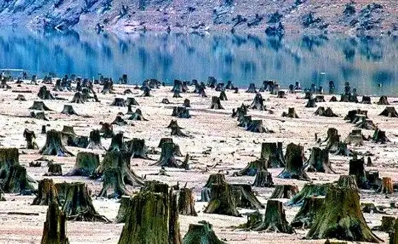 环境污染与防治措施_<a href="https://huanjingfa.cn">环境法</a>与可持续发展_环境问题与可持续发展