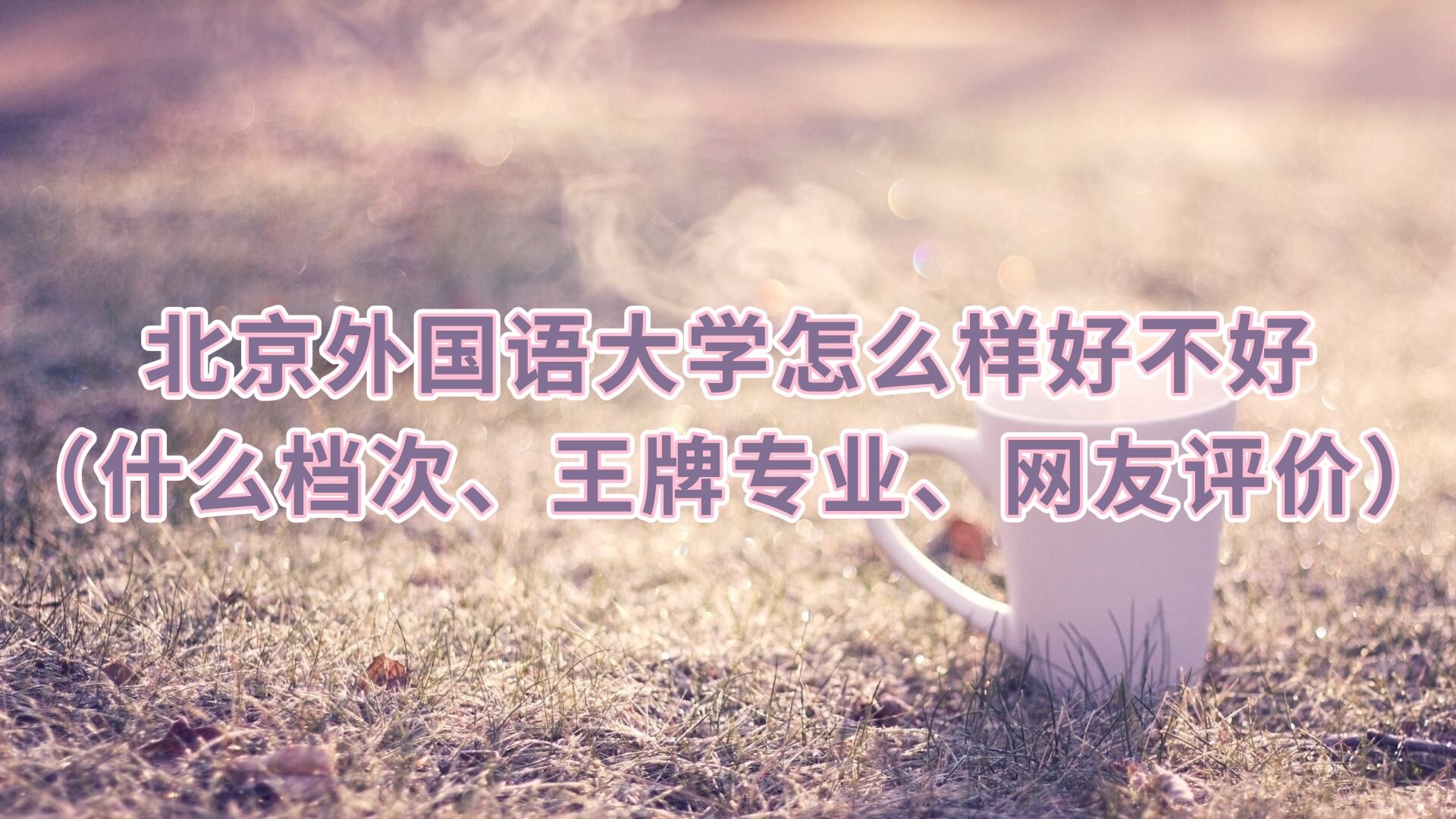 北京外国语大学校友_北京外国语大学怎么样好不好_北京外国语大学王牌专业