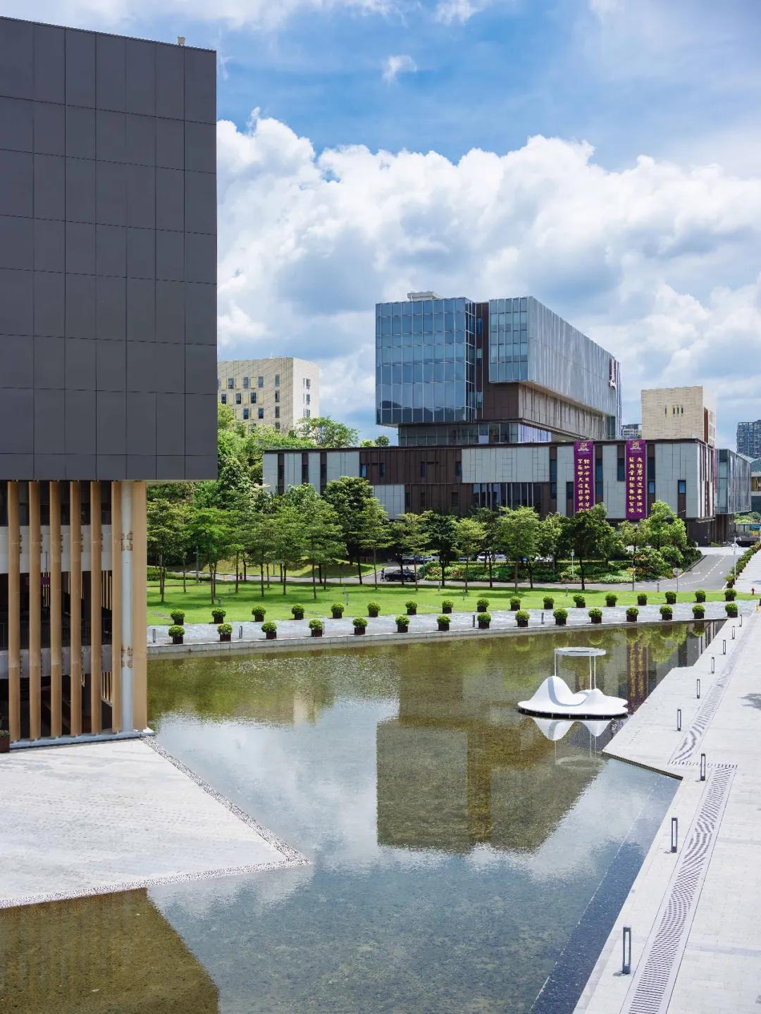 香港中文大学（深圳）10周年_香港中文大学（深圳）历史沿革_香港中文大学(深圳)