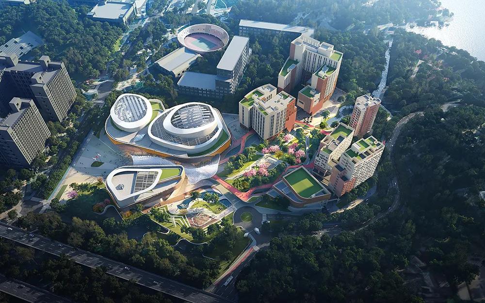 香港中文大学(深圳)_香港中文大学（深圳）历史沿革_香港中文大学（深圳）10周年