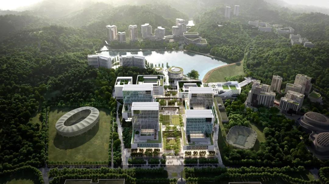 香港中文大学（深圳）历史沿革_香港中文大学（深圳）10周年_香港中文大学(深圳)