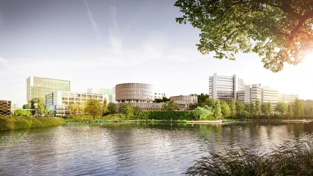 香港中文大学(深圳)_香港中文大学（深圳）10周年_香港中文大学（深圳）历史沿革