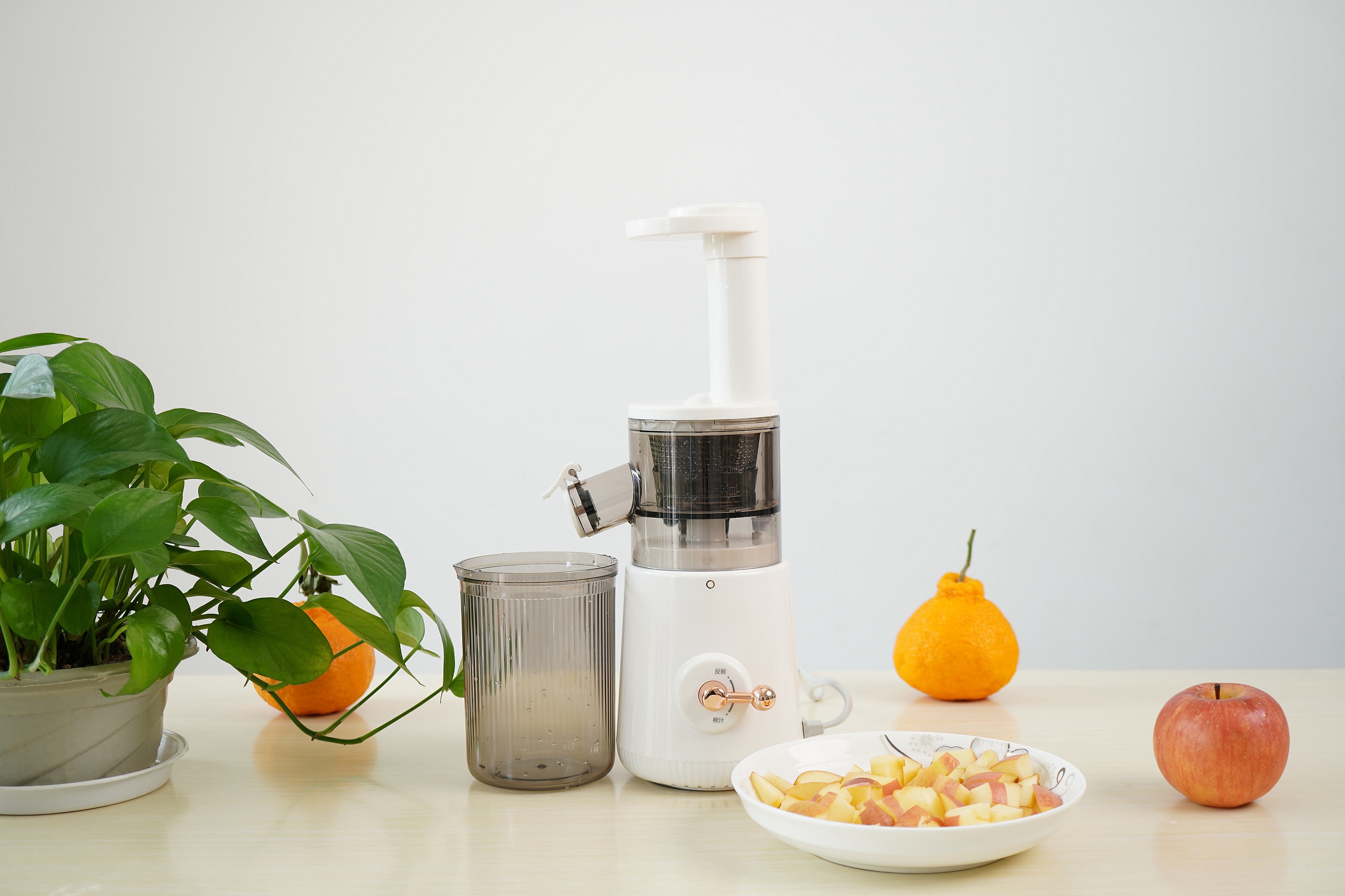 破壁机榨汁机豆浆机选购指南_破壁机与榨汁机与豆浆机区别_破壁机的搅拌棒怎么用