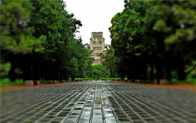 西北农林科技大学双一流大学_西北农林科技大学_西北农林科技大学985大学