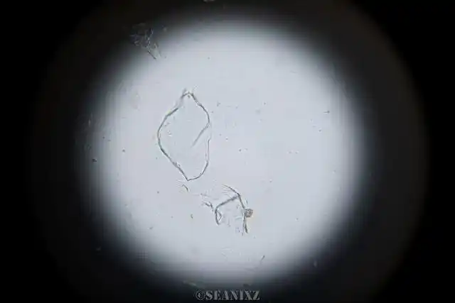 破壁机抽真空_破壁机是什么 高速搅拌机 破壁机功能选择