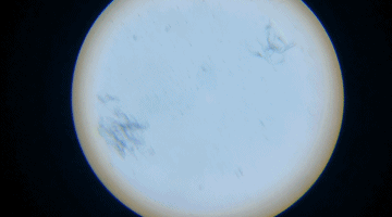 破壁机抽真空_破壁机是什么 高速搅拌机 破壁机功能选择